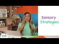 Sensory processing strategies  child development  integration  sensory equipment