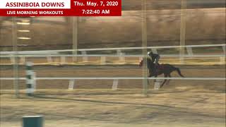Morning Workouts - Thu May 7 2020 Part 1