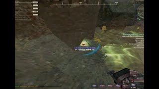 :      | STALCRAFT
