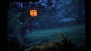 Mahmut Turan - Gecenin Bir Vakti Sesli Şiir Dinletisi Şiir Ola