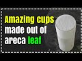 Eco-friendly areca leaf cups | Travel Sri Lanka