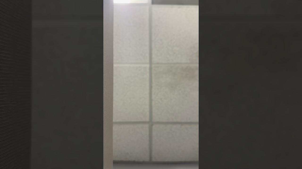 How it sounds in the girls bathroom 