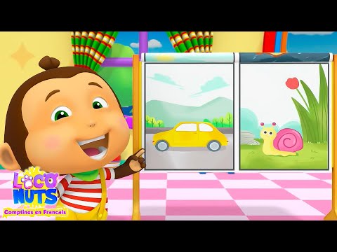 Loco Nuts Opposée Chanson + Plus Vidéos Apprentissage et Comptines en Français