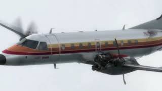 Atlantic Southeast Airlines Flight 529 - Crash Animation