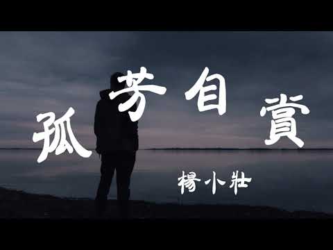 【抖音神曲】楊小壯 - 孤芳自賞 ( 獨家Remix )