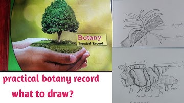 Best Botany Record For Intermediate Students|| As Per 30% Reduced Syllabus || 2021-22