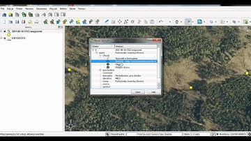 Using the Quantum GIS 1.7.0 "Wroclaw" to build an entomological geodatabase