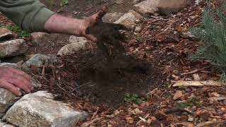 Testing For Proper Soil Moisture