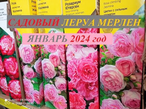 ЛЕРУА МЕРЛЕН - садовый отдел 29.01.24 г. Новые поступления, цены и ...