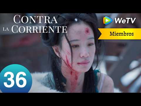EP36 Contra la Corriente｜Xingtang revela el secreto de Jinqi｜Liu Xueyi y Tan Songyun