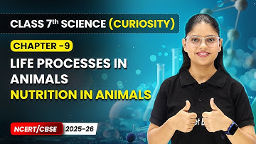 Nutrition in Animals (Part 1) - Life Processes in Animals | Ch 9 | Class 7 Science Curiosity | CBSE