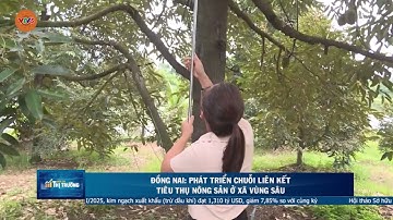 ĐỒNG NAI: PHÁT TRIỂN CHUỖI LIÊN KẾT TIÊU THỤ NÔNG SẢN Ở XÃ VÙNG SÂU | VTV5