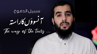 The way of the tears | Nasheed | Muhammad al Muqit @alfurqanproductions