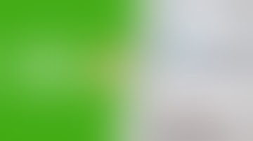 Google Analytics for Beginners Assessment Answers 🎓 100% correct #yzydo