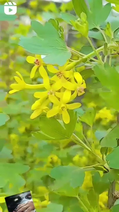 Наш любимый внук Георгий. ♡♡♡ - YouTube