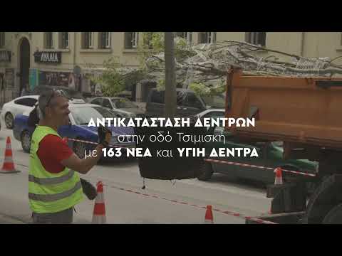 Δωρεά Ομίλου Regency | Δενδροφύτευση της οδού Τσιμισκή Θεσσαλονίκης