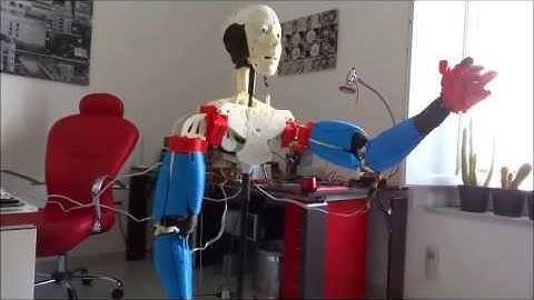 InMoov - Voice Control