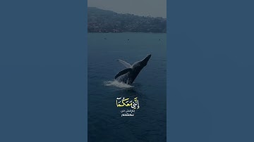 قَالَ لَا تَخَافَا ۖ إِنَّنِي مَعَكُمَا أَسْمَعُ وَأَرَىٰ "| القارئ يوسف عثمان