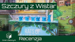 Szczury z Wistar - recenzja | Rats of Wistar