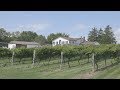 #TasteOfStThomas - Quai du Vin Estate Winery