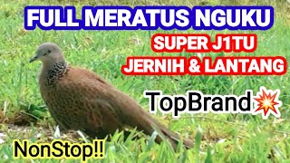 FULL MERATUS NGUKU🔥SUPER J1TU JERNIH & LANTANG||TopBrand@TekukurSianjur