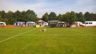 NDDF 22-23 Juni -Toss Fetch slowmotion
