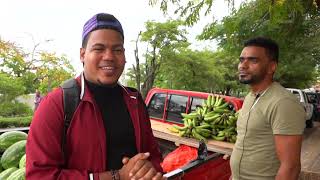 Trabaja Honradamente VVENDIENDO FRUTAS