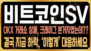 [비트코인에스브이 코인전망] OKX 상장폐지 확정, 크레이그가 밀어줬던 거래소인데? 결국 문제는 이전부터 나왔었다? #BSV