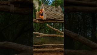 Primitive Shelter Making in Deep Jungle #survival