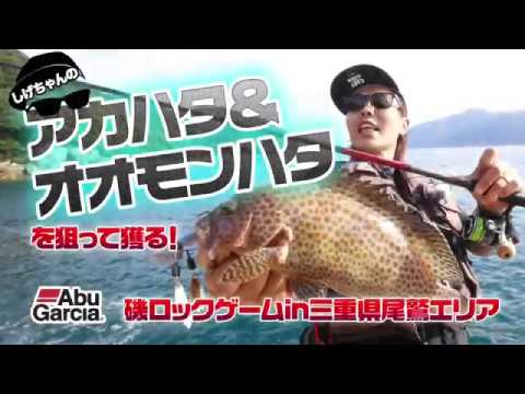 Grouper Game] Catch red grouper and red grouper! On the