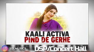 Kaali Activa,Pind De Gerhe Concert Hall Dsp Edition Rupinder Handa