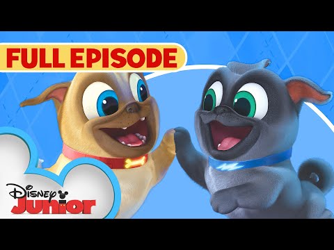 Puppy Dog Pals S1 E1 Full Episode 🐶 | Hawaii Pug-Oh 🏝️ / A.R.F. | @disneyjunior