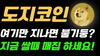 [도지코인]지금이 제일 쌀때다! 불기둥 오기 전 매집하라? #도지코인 #DOGE #도지코인 #도지코인분석 #도지코인강석 #강석의 코인 파이어# 강석 파이어