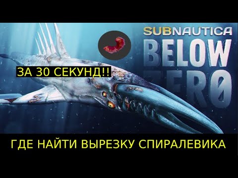 ГДЕ НАЙТИ ВЫРЕЗКУ СПИРАЛЕВИКА в Subnautica BELOW ZERO