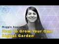 🪴 How To Grow Your Own Digital Garden with Maggie Appleton