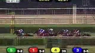 2008 New York Stakes