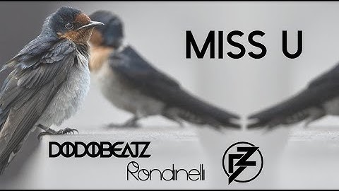 Dodobeatz, Rondinelli featuring Bibiane Z. - Miss U  (Mini Clip Mix)