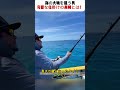 海の大物を狙う男 完璧な仕掛けの真相とは！ #釣り #大物釣り #カツオ #海釣り #フィッシング