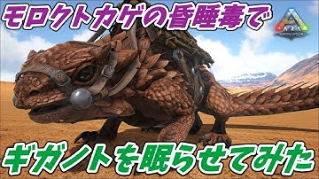 モロクトカゲ Youtube モロクトカゲ Youtube
