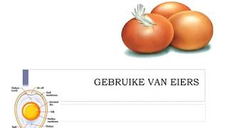Gasvryheidstudie GRAAD 10: 23 April 2020 - periode 3 (23103) Gasvryheidstudie GRAAD 10: 23 April 2020 - periode 3 (23103)