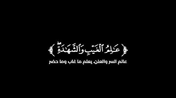 كروما شاشة سوداء قرآن كريم 🌿تلاوة من سورة الحشر  🌿القارئ أحمد النفيس 🌿