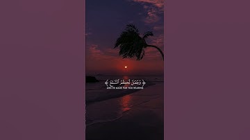 اكتب شيء تؤجر عليه 🤍 #القرآن_الكريم #ياسر_الدوسري #القارئ_ياسر_الدوسري #quran #allah #fypシ #fyp
