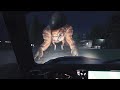 【ネタバレ注意】復活の大地の名シーンを完全再現してみた【JWE2】