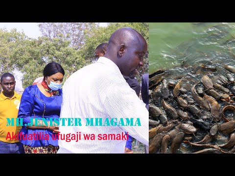 Video: Utunzaji Wa Likizo Kwa Samaki - Kupata Mkaaji Samaki