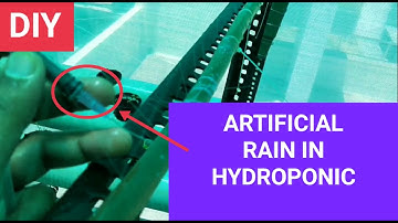 DIY fogger  rain system for hydroponic plant cooling.