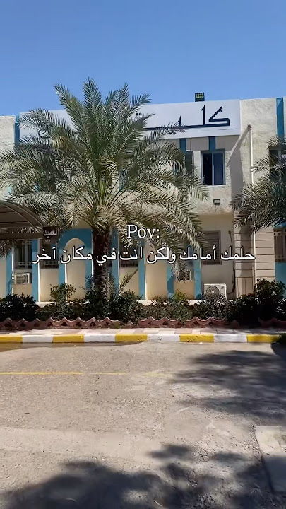 كلية القانون 🤎⚖️. #جامعة #كلية #قانون #حقوق #طلاب #اهميه #لايك