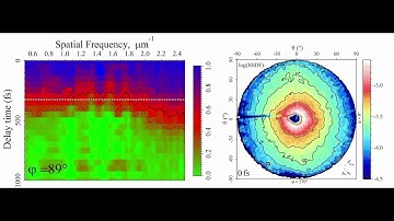 Evolution of normalized scattering intensity for different spatial frequencies of VO2 surface