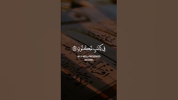 تلاوة القرآن الكريم ❤️ القارئ 🎧 سعد الغامدي