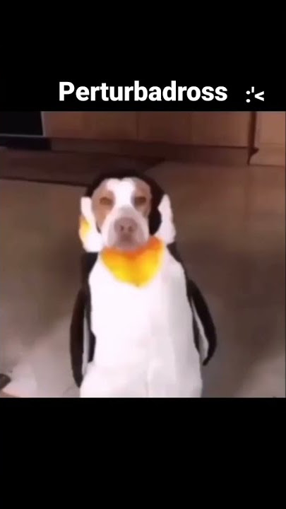 Á À Â Ã Ä Å Æ Ā Ă Ą D'':