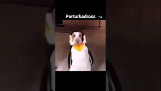 A A A A A A AE A A A D